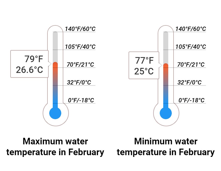 Average Sea temperature